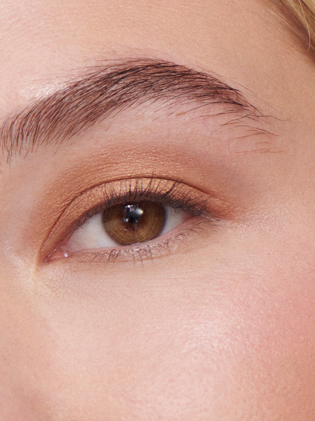 Liquid Powder Eye Tint - Burnish
