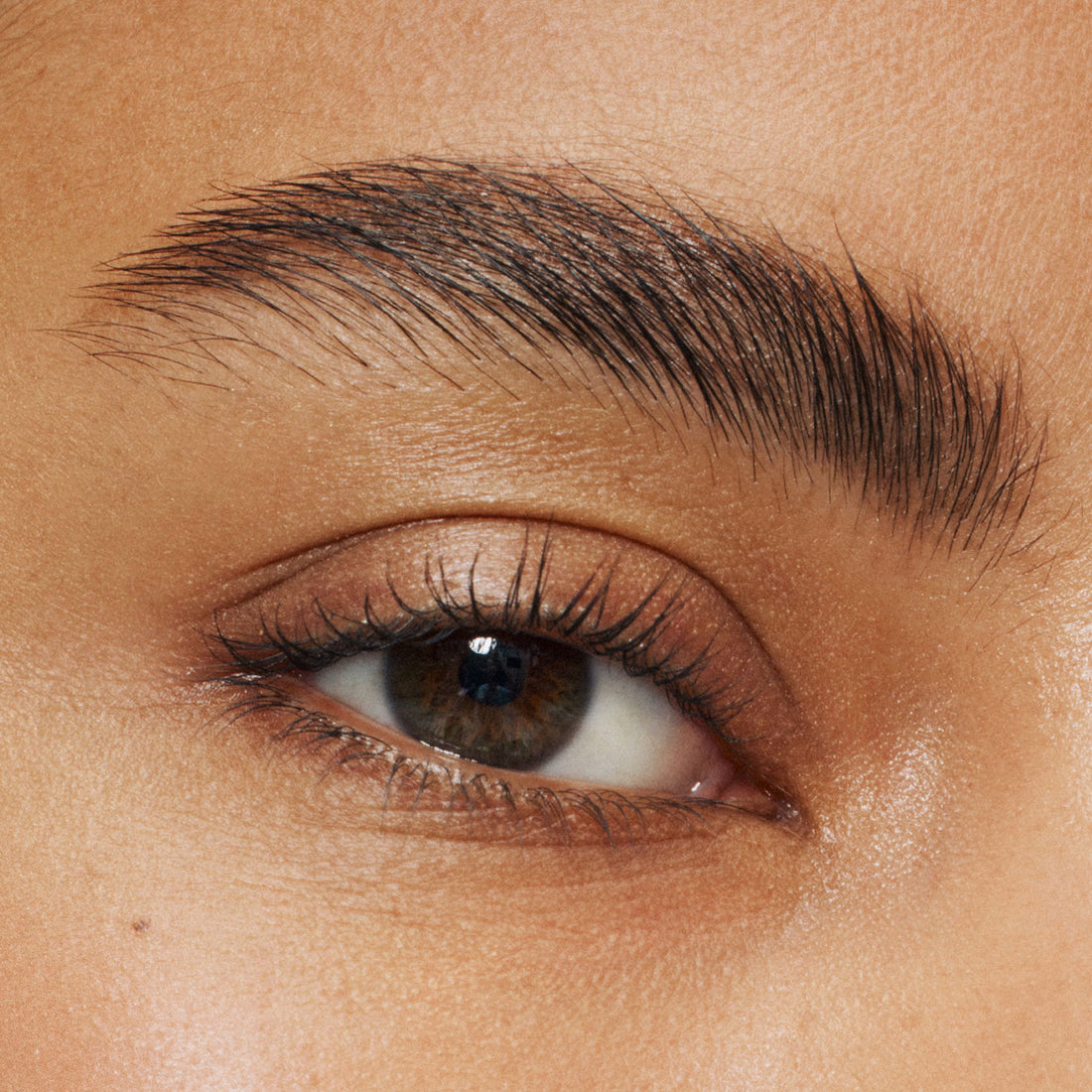 A model with hazel eyes and dark brown eyebrows with Brow Gel applied. 